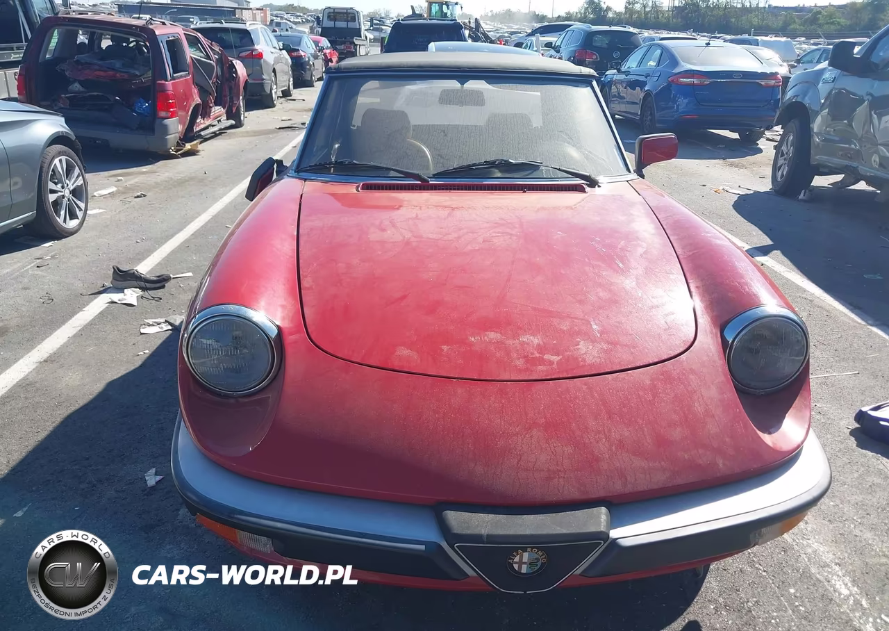 1988 Alfa Romeo Spider Graduate VIN:ZARBA5645J1062735 - 6