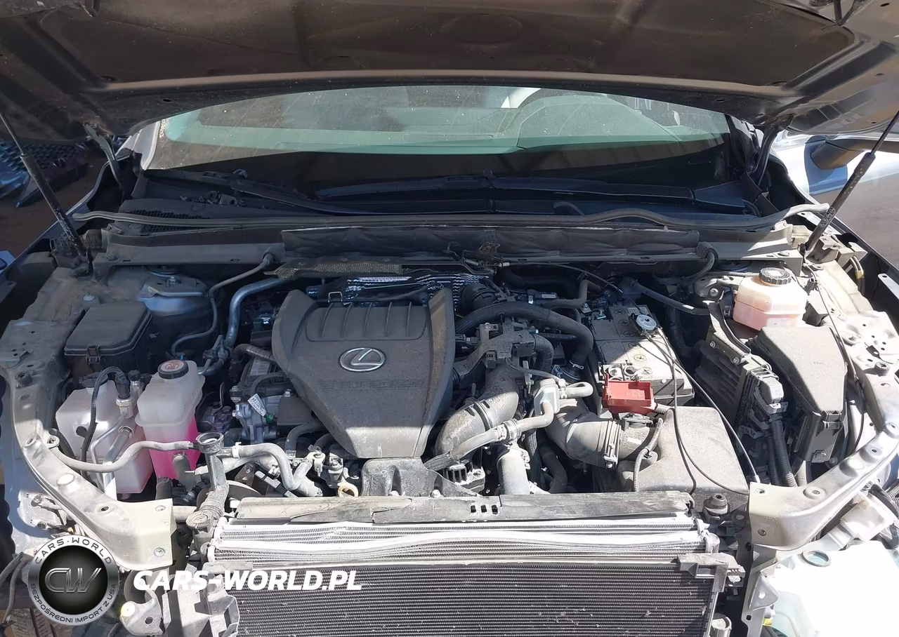 2023 Lexus Rx 350 Premium Plus VIN:2T2BAMBA5PC001935 - 10