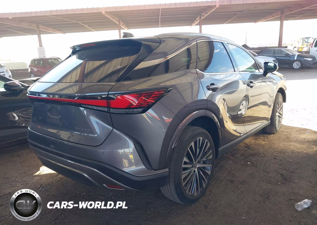 2023 Lexus Rx 350 Premium Plus VIN:2T2BAMBA5PC001935 - 4