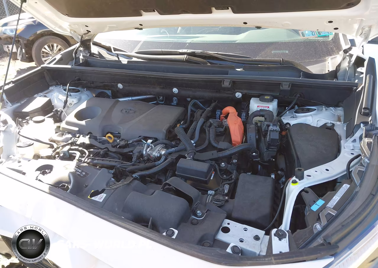 2025 Toyota Rav4 Hybrid Xle VIN:4T3RWRFV6SU191368 - 10