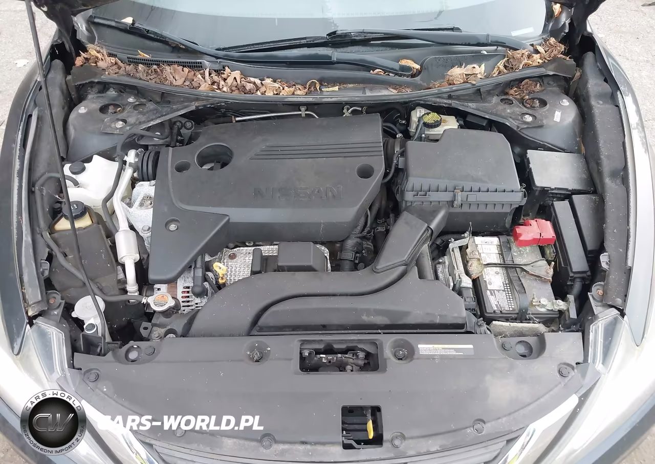 2016 Nissan Altima 2.5-2.5 S-2.5 Sl-2.5 Sr-2.5 Sv VIN:1N4AL3AP5GN347142 - 10