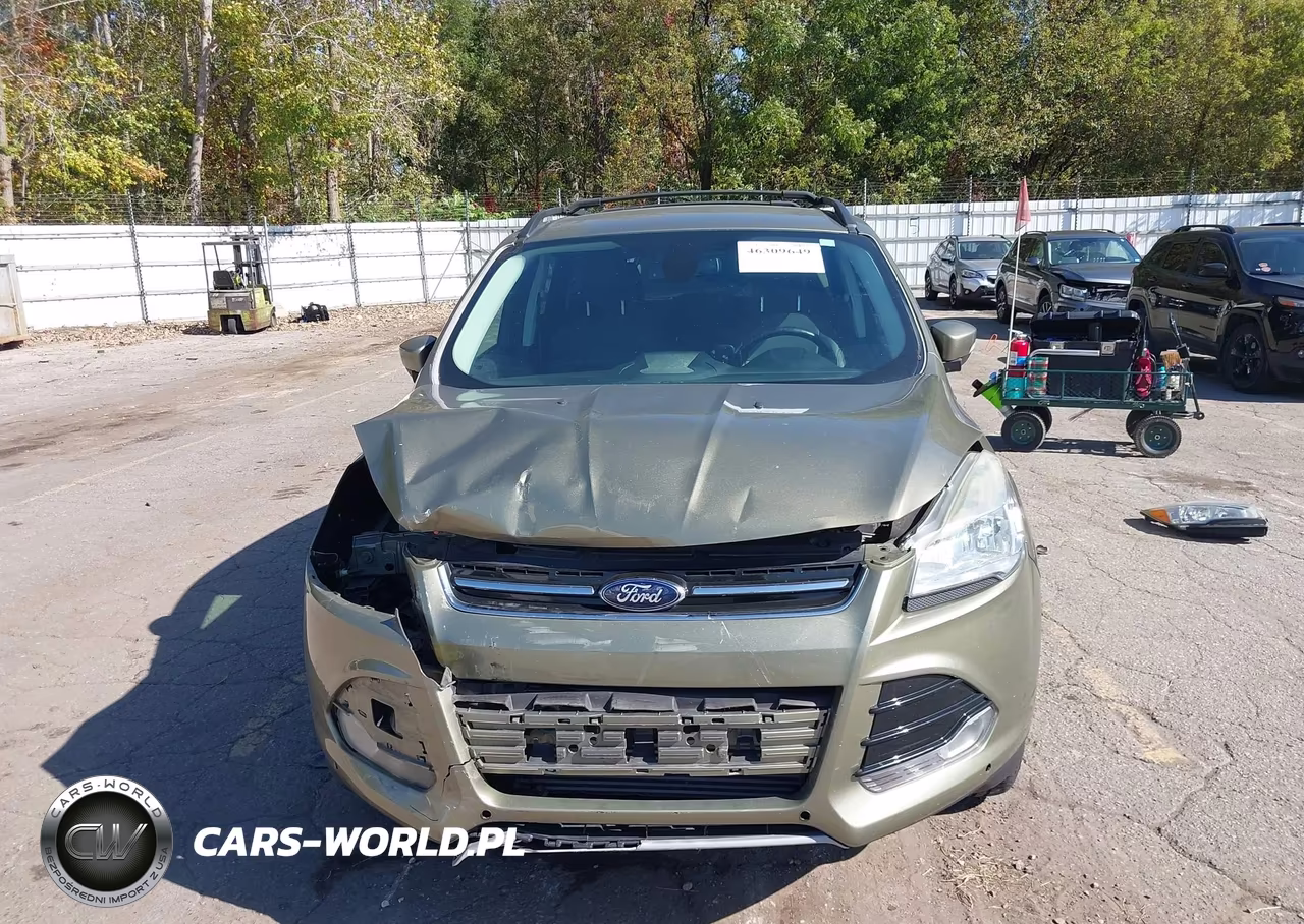 2013 Ford Escape Sel VIN:1FMCU9H90DUA85716 - 13