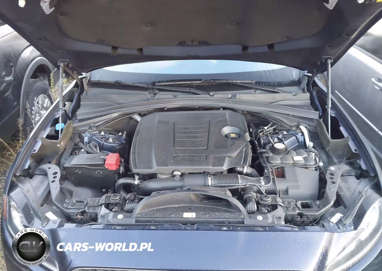 2018 Jaguar F-Pace 25T Premium VIN:SADCJ2FX0JA266399 - 10