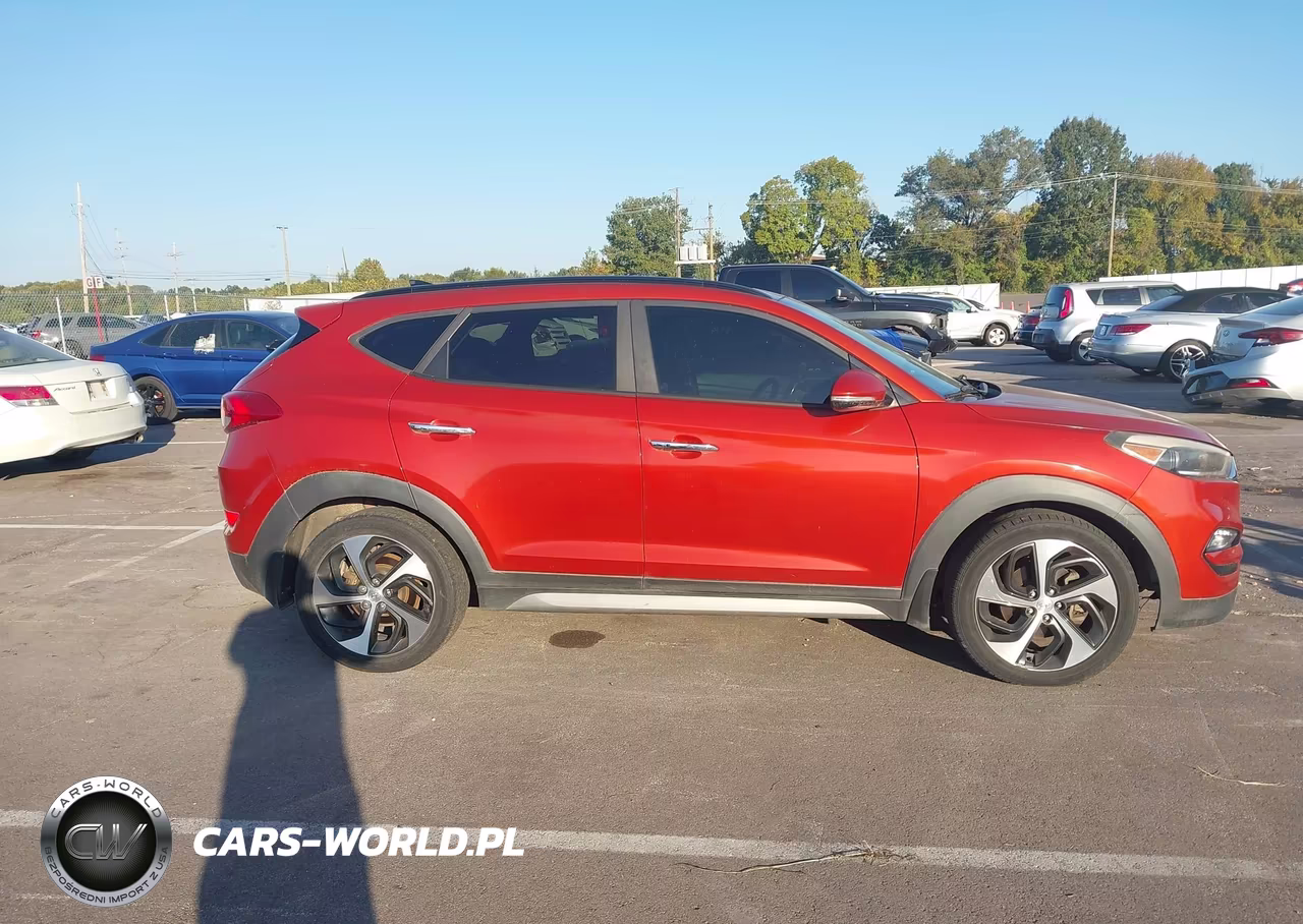 2017 Hyundai Tucson Limited VIN:KM8J33A28HU328926 - 13