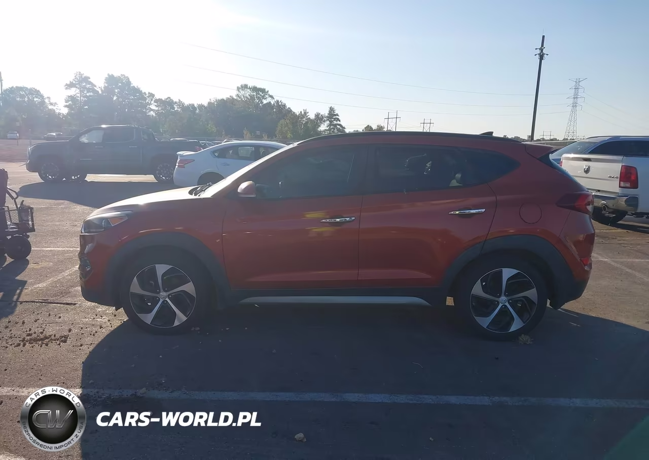 2017 Hyundai Tucson Limited VIN:KM8J33A28HU328926 - 14