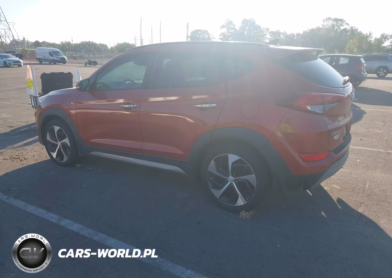 2017 Hyundai Tucson Limited VIN:KM8J33A28HU328926 - 3