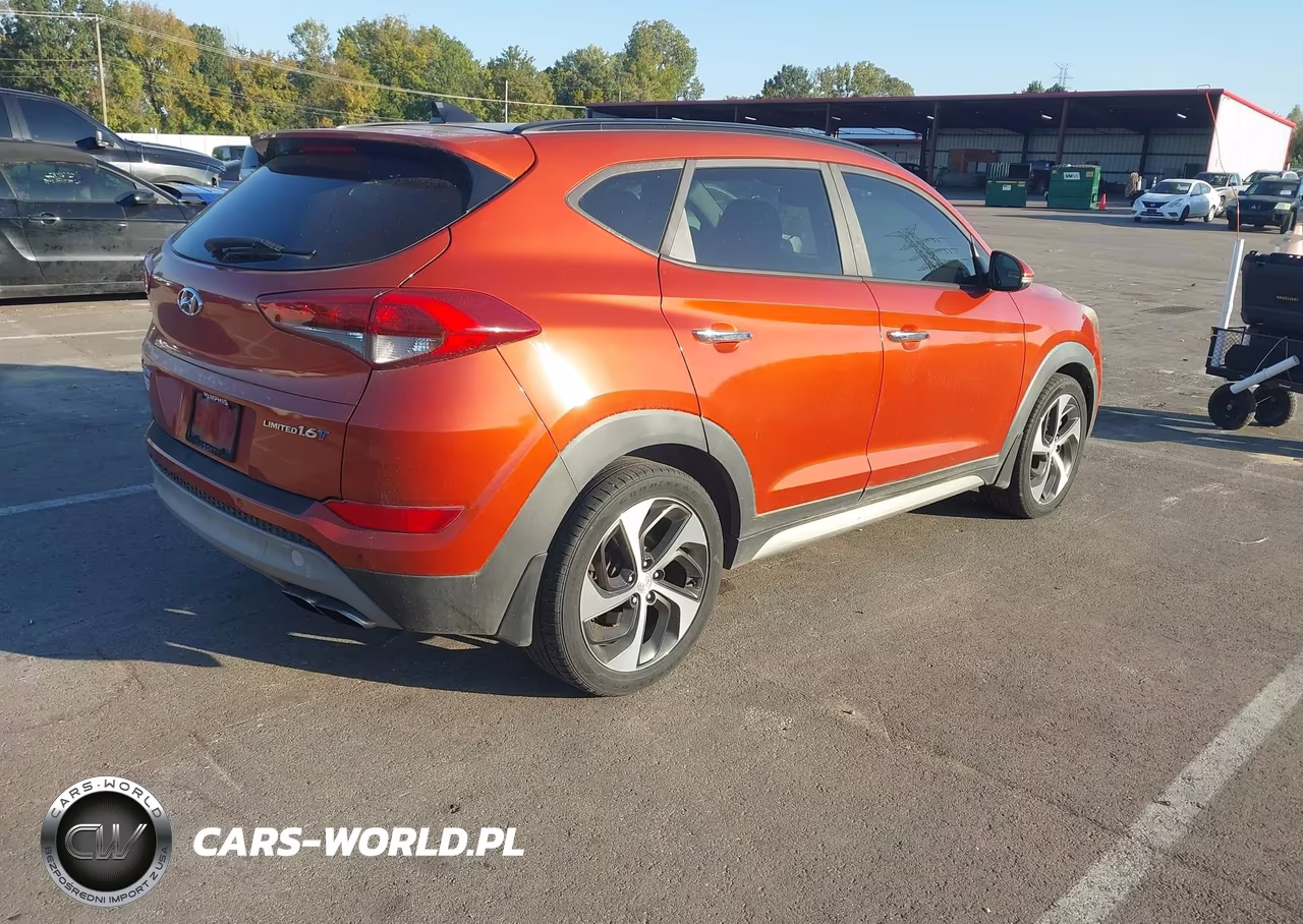 2017 Hyundai Tucson Limited VIN:KM8J33A28HU328926 - 4