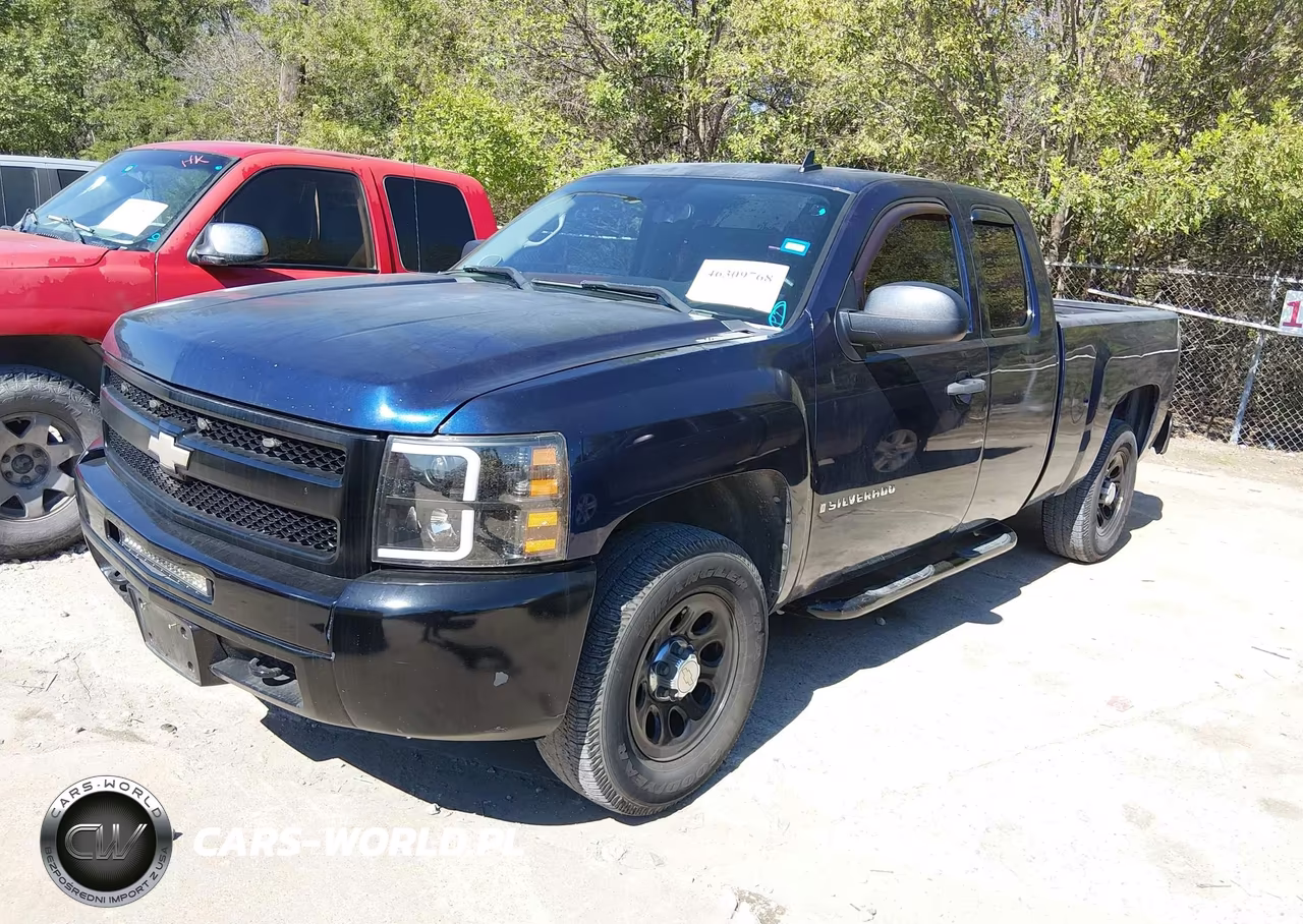 2009 Chevrolet Silverado 1500 Work Truck VIN:1GCEC19X39Z194597 - 2