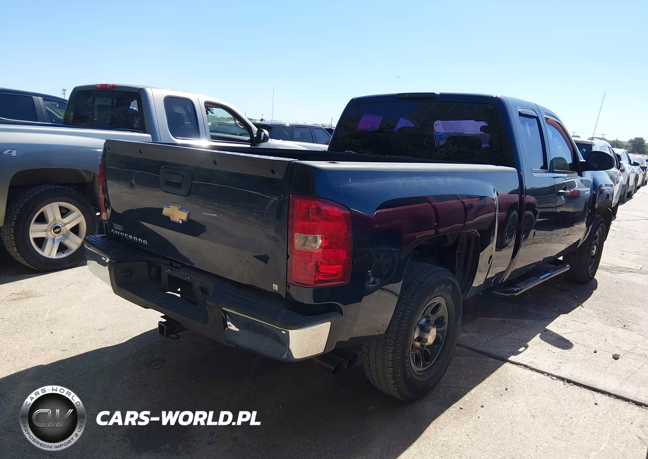 2009 Chevrolet Silverado 1500 Work Truck VIN:1GCEC19X39Z194597 - 4