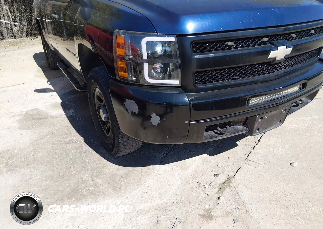 2009 Chevrolet Silverado 1500 Work Truck VIN:1GCEC19X39Z194597 - 6