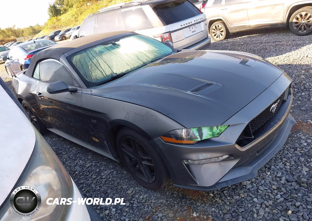 2020 Ford Mustang Ecoboost -Ecoboost Premium VIN:1FATP8UH1L5131863 - 1
