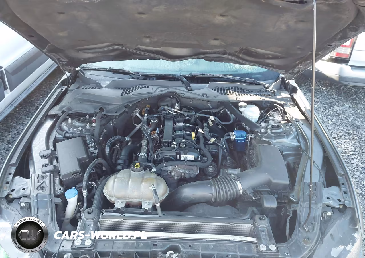 2020 Ford Mustang Ecoboost -Ecoboost Premium VIN:1FATP8UH1L5131863 - 10