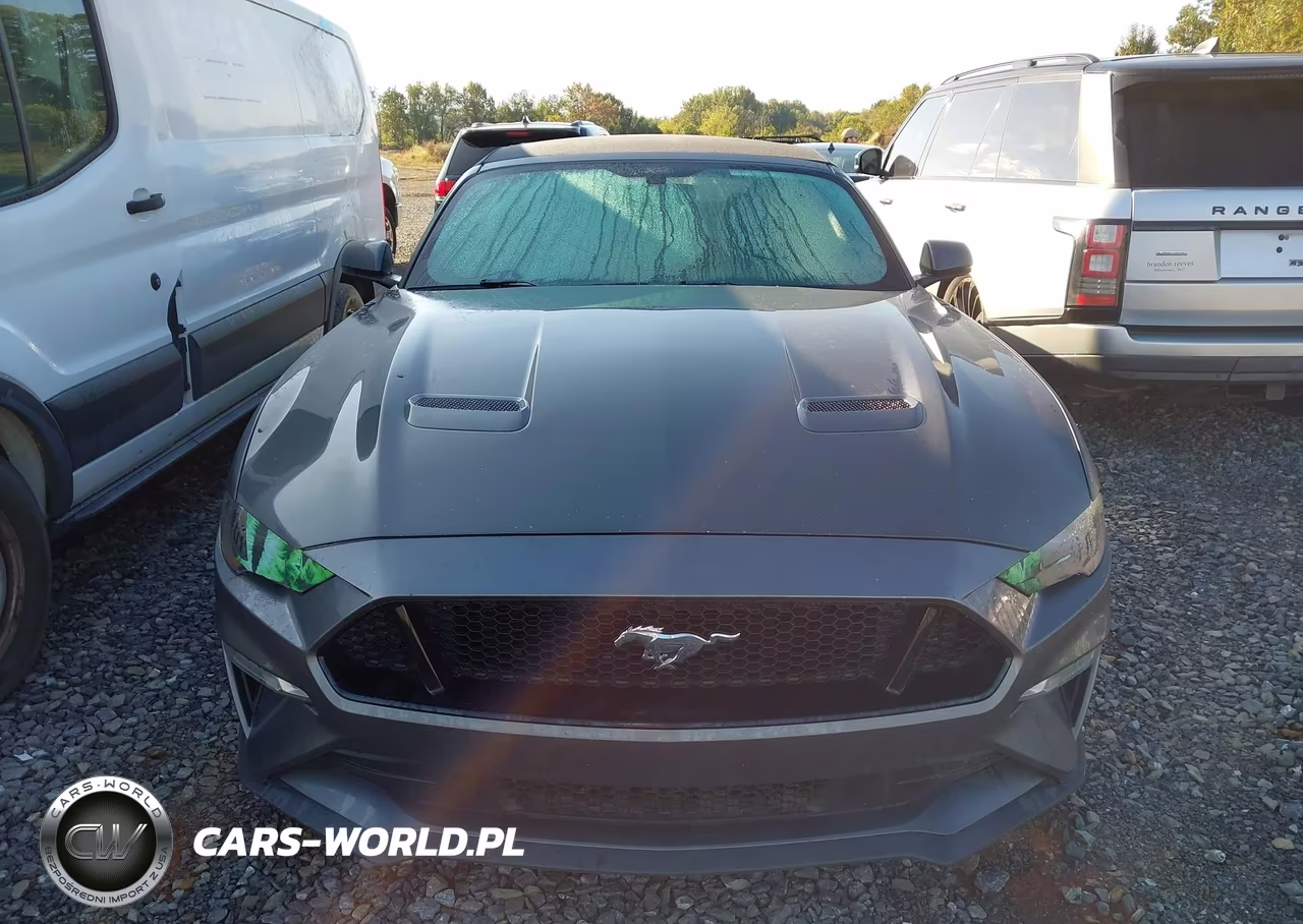 2020 Ford Mustang Ecoboost -Ecoboost Premium VIN:1FATP8UH1L5131863 - 13