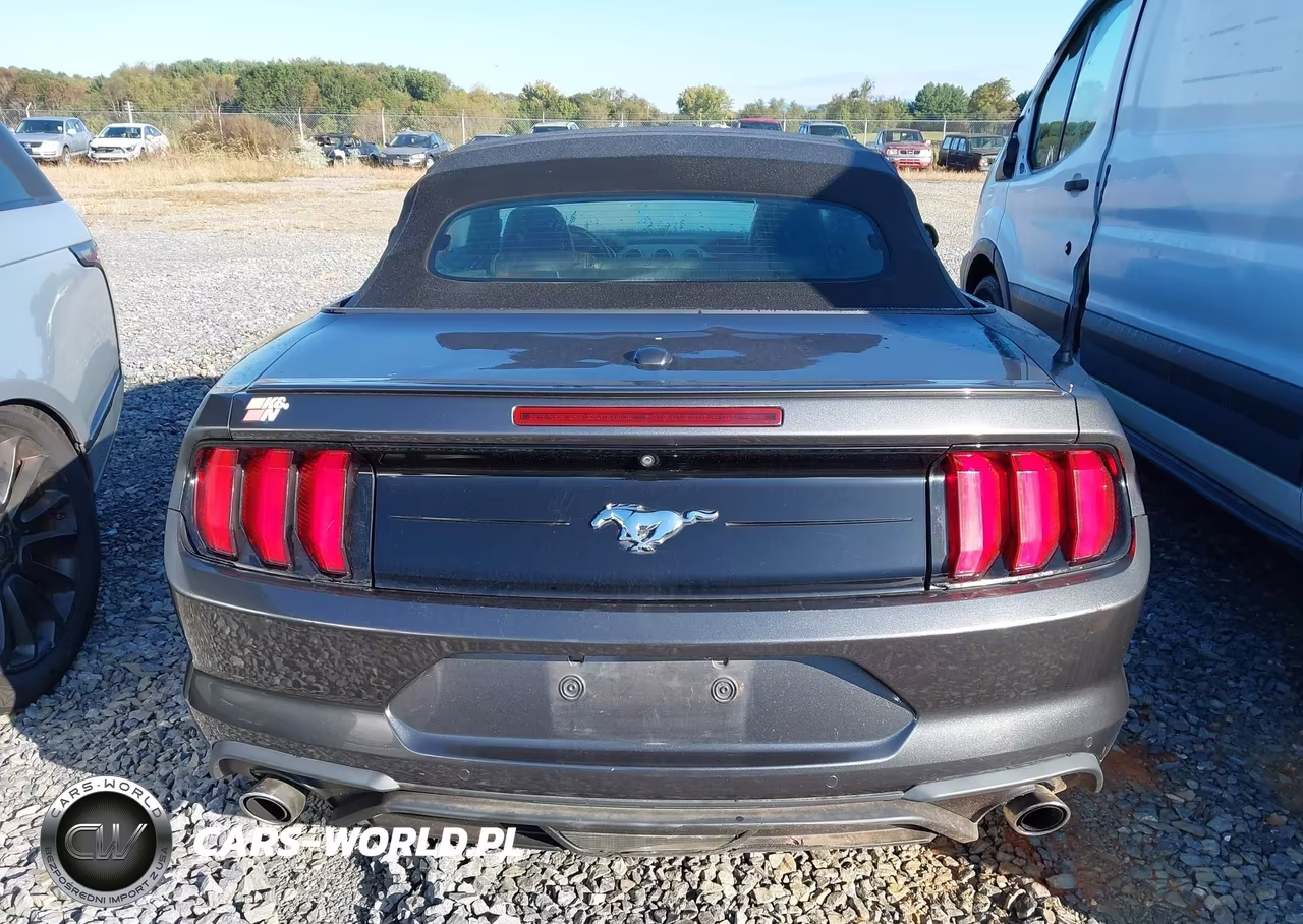 2020 Ford Mustang Ecoboost -Ecoboost Premium VIN:1FATP8UH1L5131863 - 17