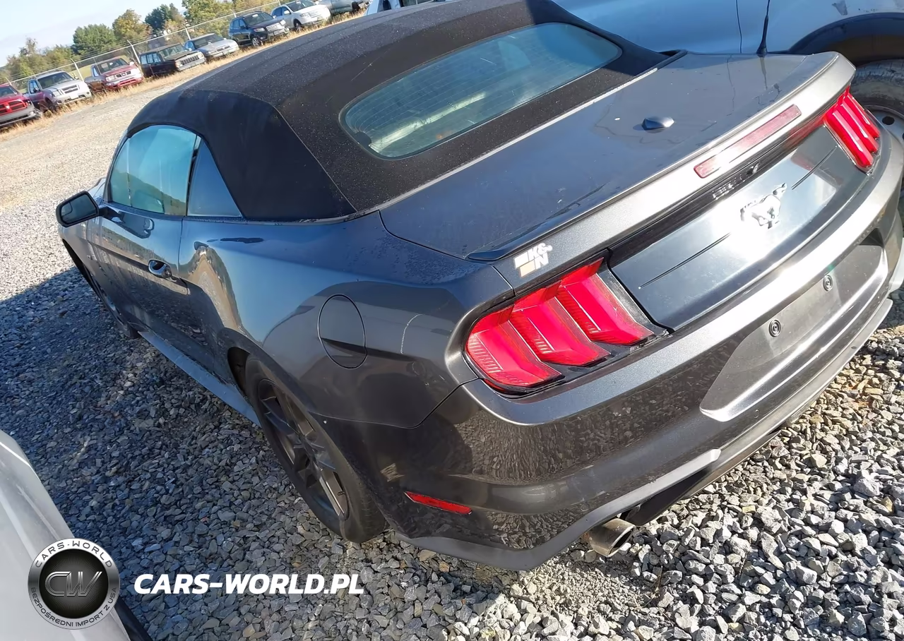 2020 Ford Mustang Ecoboost -Ecoboost Premium VIN:1FATP8UH1L5131863 - 3