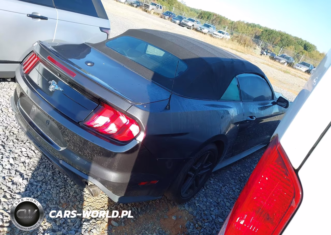 2020 Ford Mustang Ecoboost -Ecoboost Premium VIN:1FATP8UH1L5131863 - 4