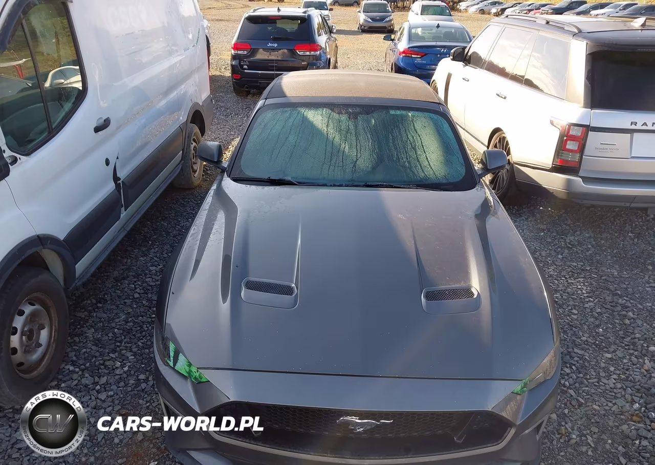 2020 Ford Mustang Ecoboost -Ecoboost Premium VIN:1FATP8UH1L5131863 - 6