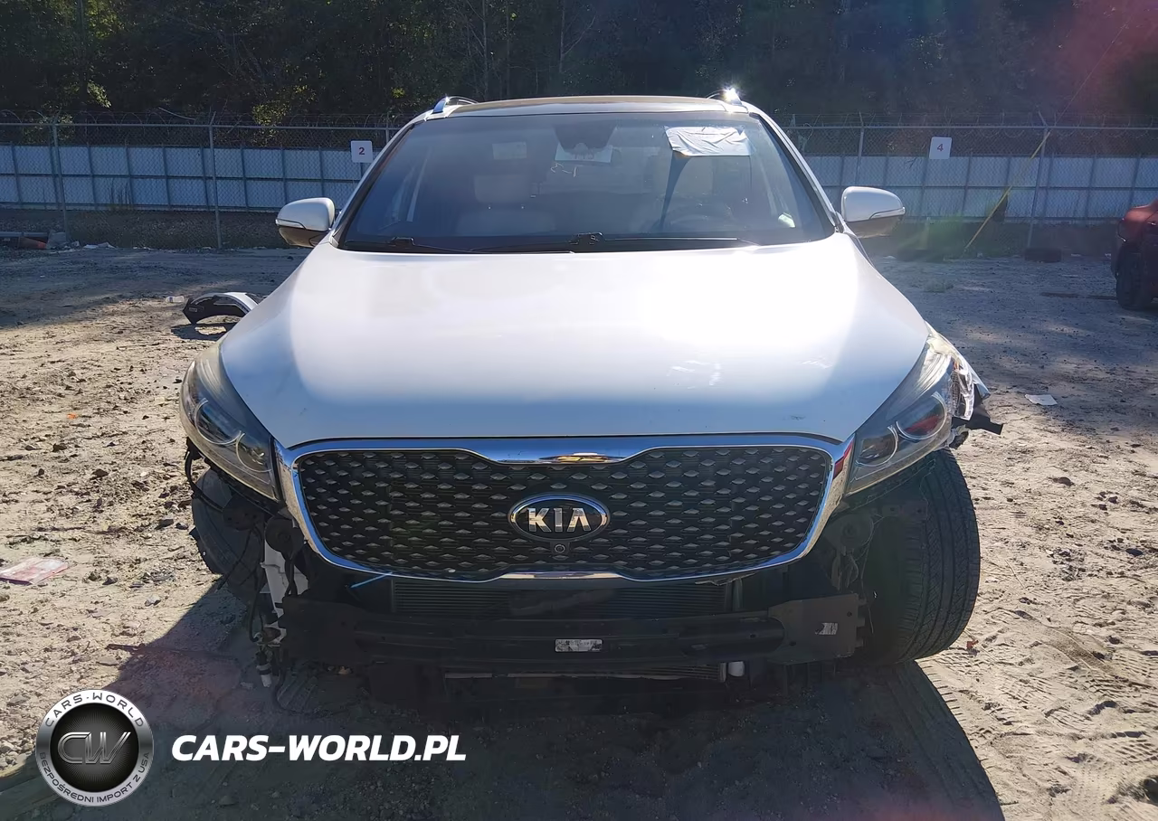 2017 Kia Sorento 3.3L Sxl VIN:5XYPK4A55HG201313 - 13