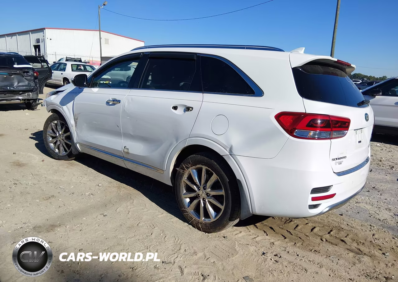 2017 Kia Sorento 3.3L Sxl VIN:5XYPK4A55HG201313 - 3