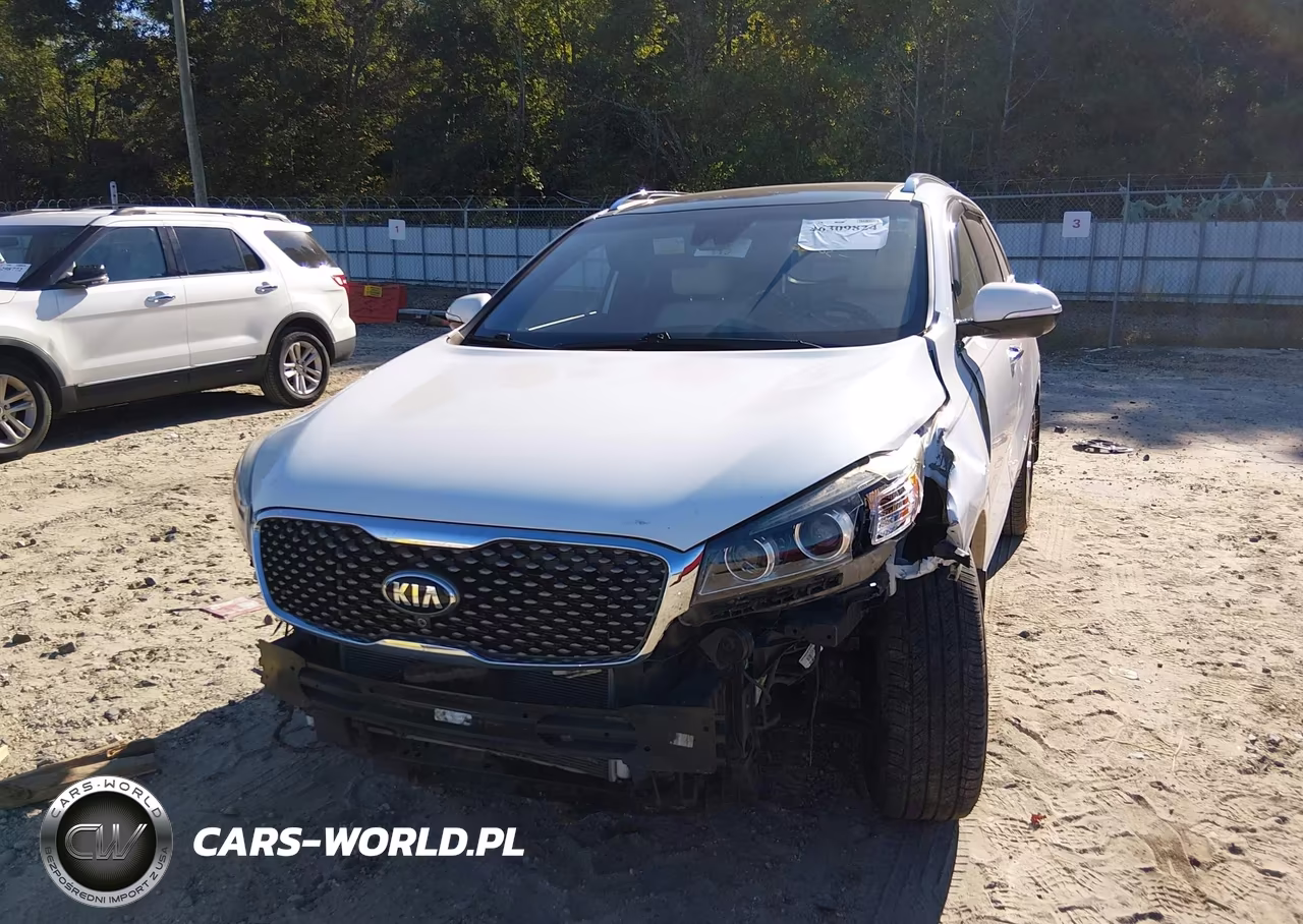 2017 Kia Sorento 3.3L Sxl VIN:5XYPK4A55HG201313 - 6