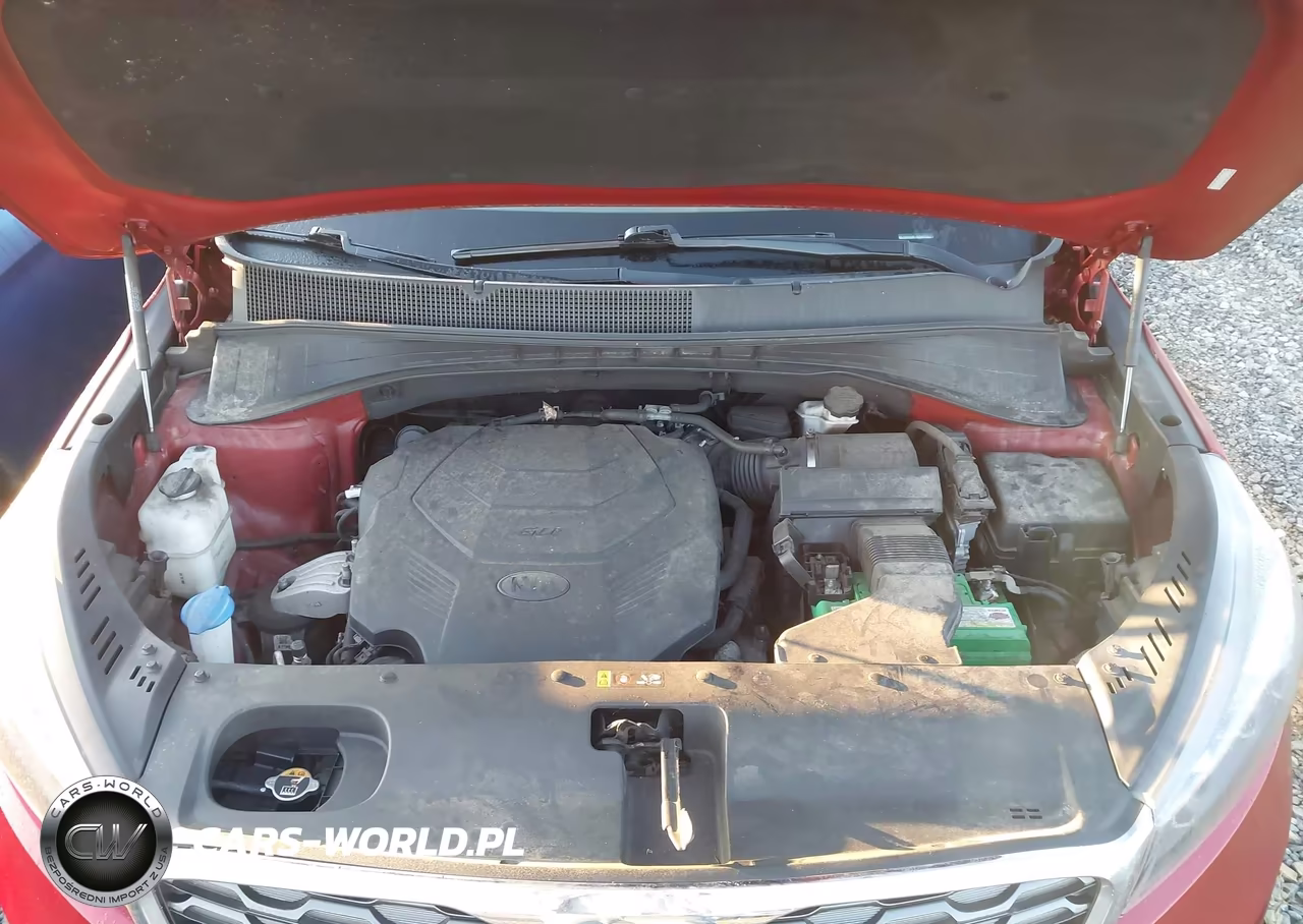 2019 Kia Sorento 3.3L Ex VIN:5XYPHDA54KG567415 - 10