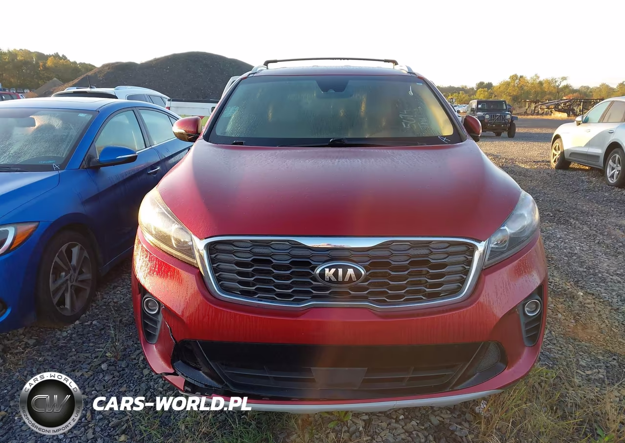 2019 Kia Sorento 3.3L Ex VIN:5XYPHDA54KG567415 - 12