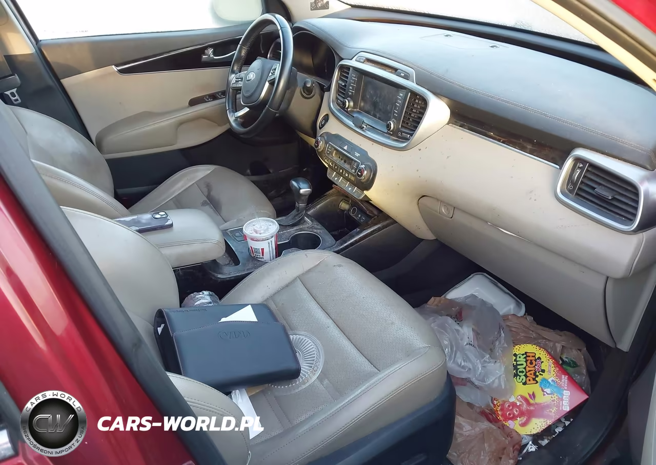 2019 Kia Sorento 3.3L Ex VIN:5XYPHDA54KG567415 - 5
