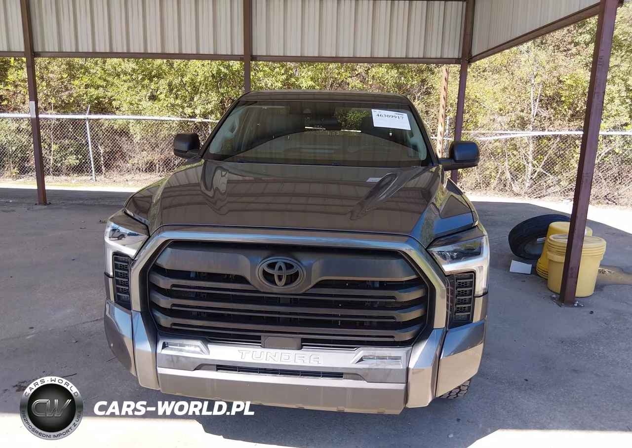 2023 Toyota Tundra Sr5 VIN:5TFLA5DB1PX090098 - 12