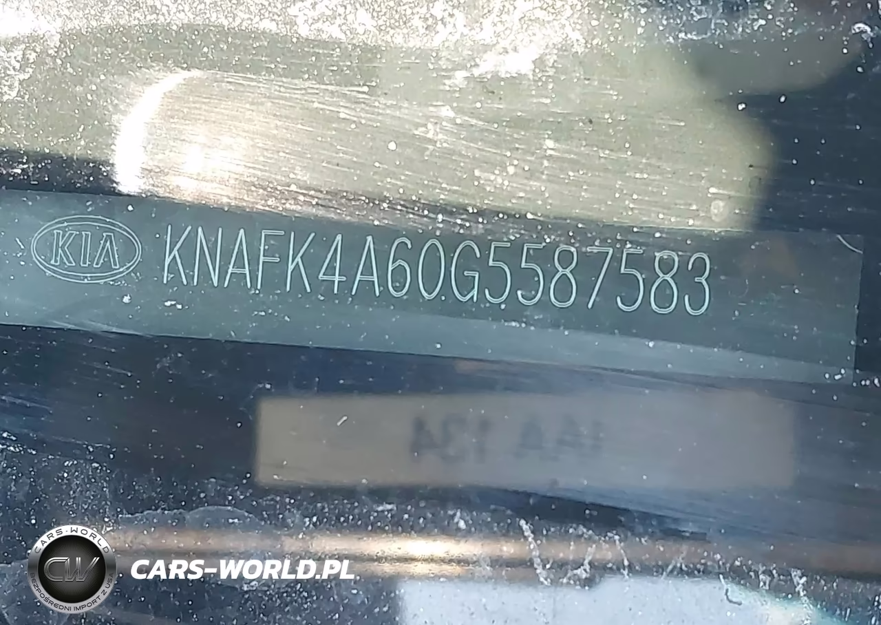2016 Kia Forte Lx VIN:KNAFK4A60G5587583 - 19
