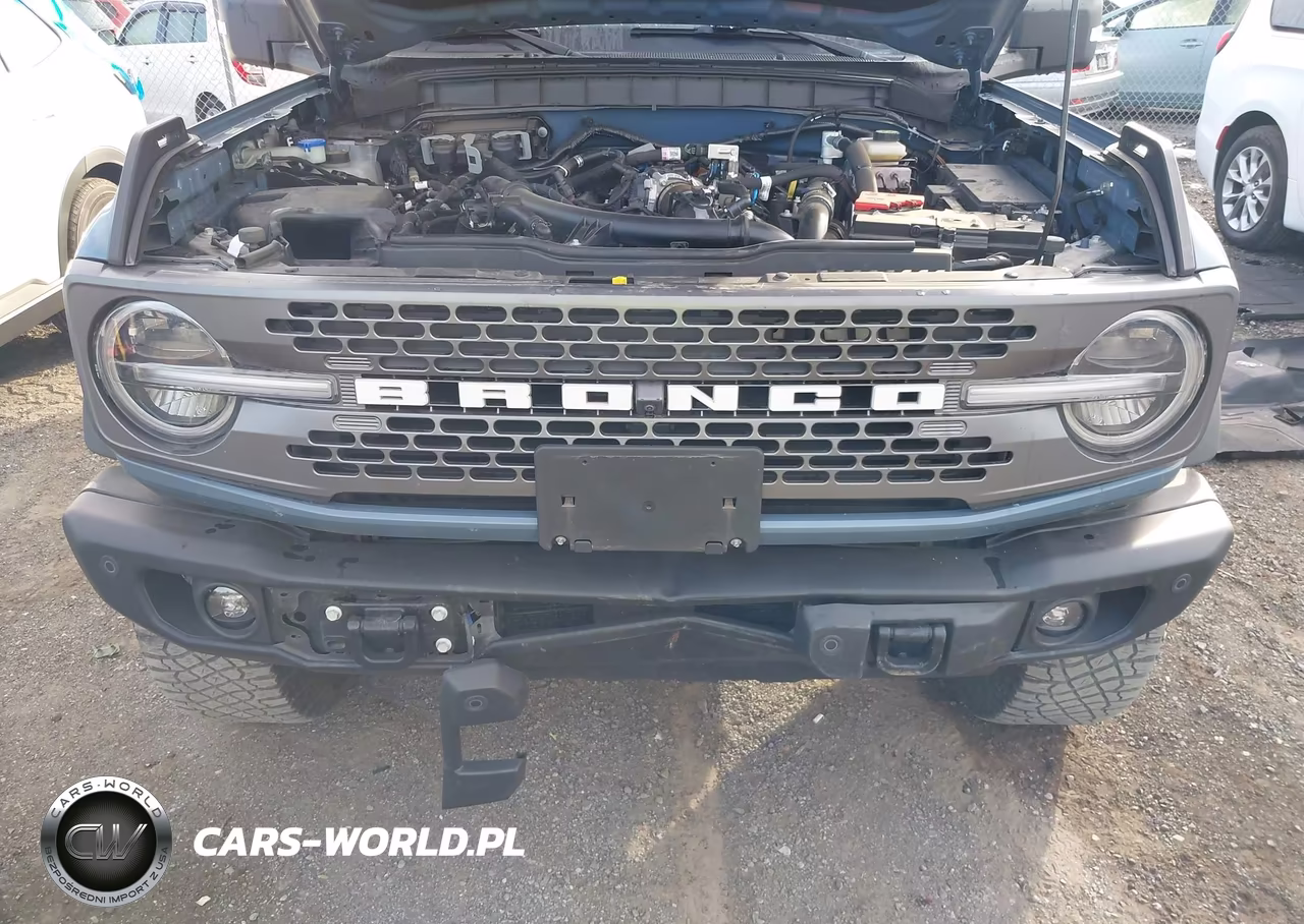 2023 Ford Bronco Badlands VIN:1FMEE5DP5PLB11336 - 6