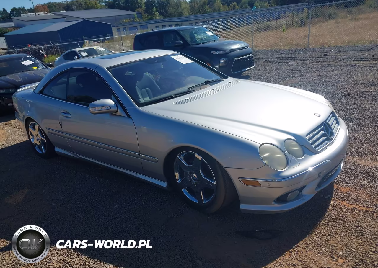 2004 Mercedes-Benz Cl 500