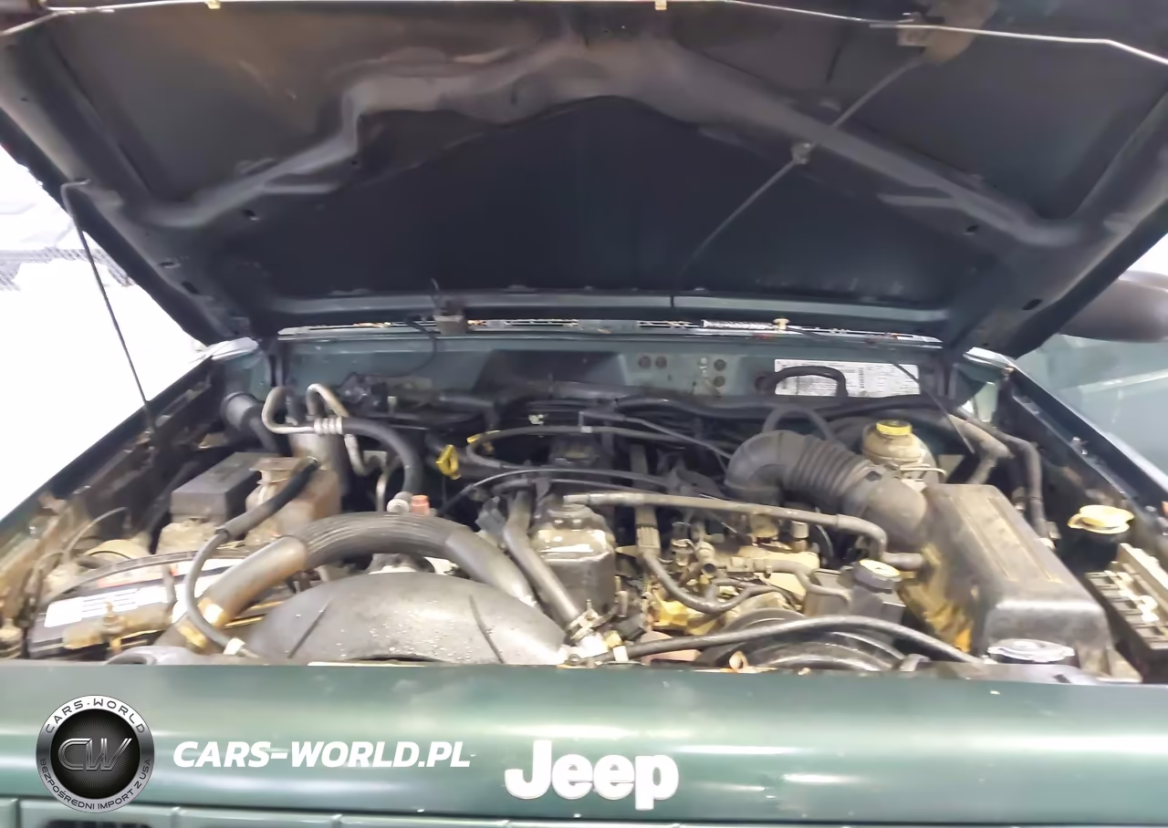 2001 Jeep Cherokee Sport VIN:1J4FT48S61L540252 - 10