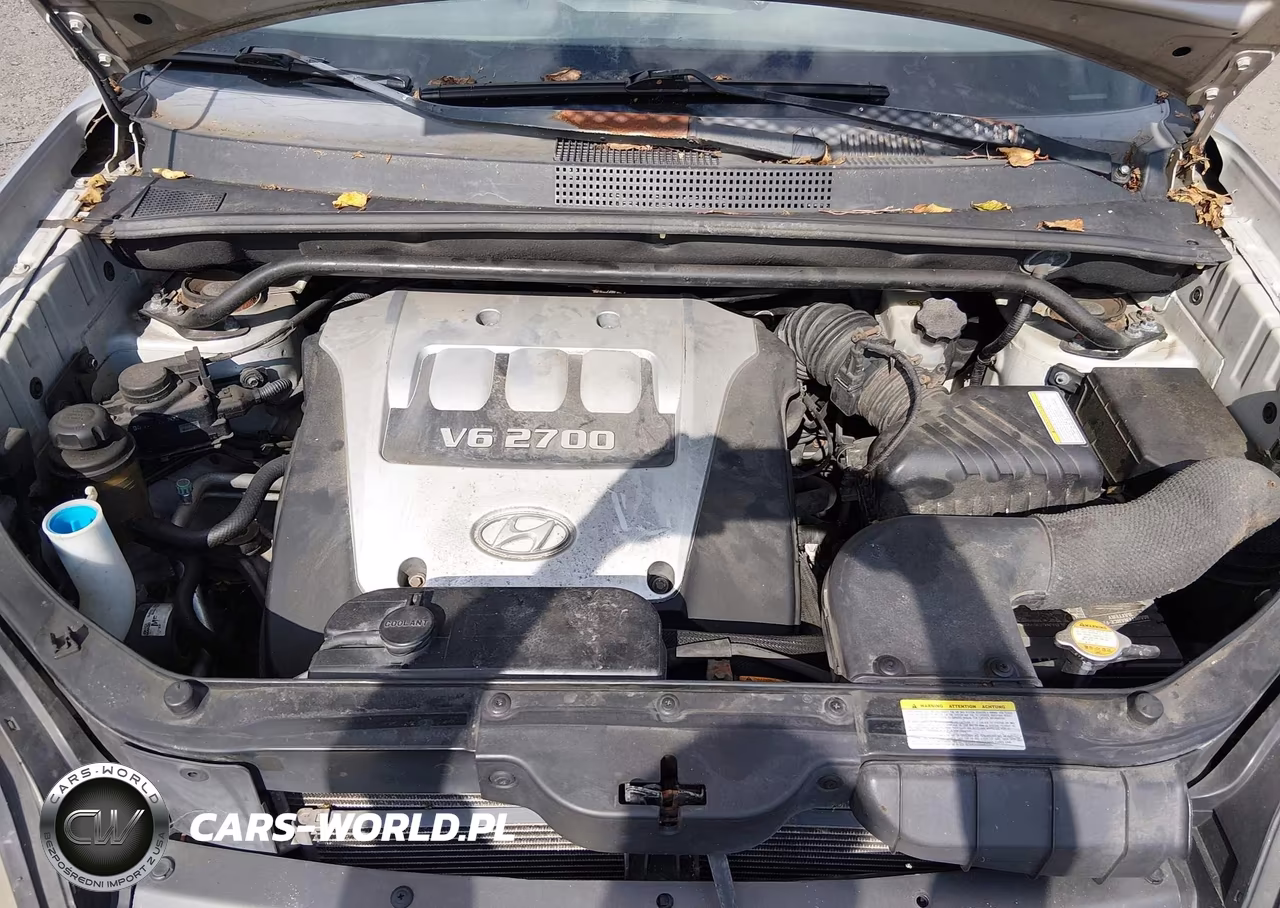 2005 Hyundai Tucson Gls-Lx VIN:KM8JN72D55U043355 - 10