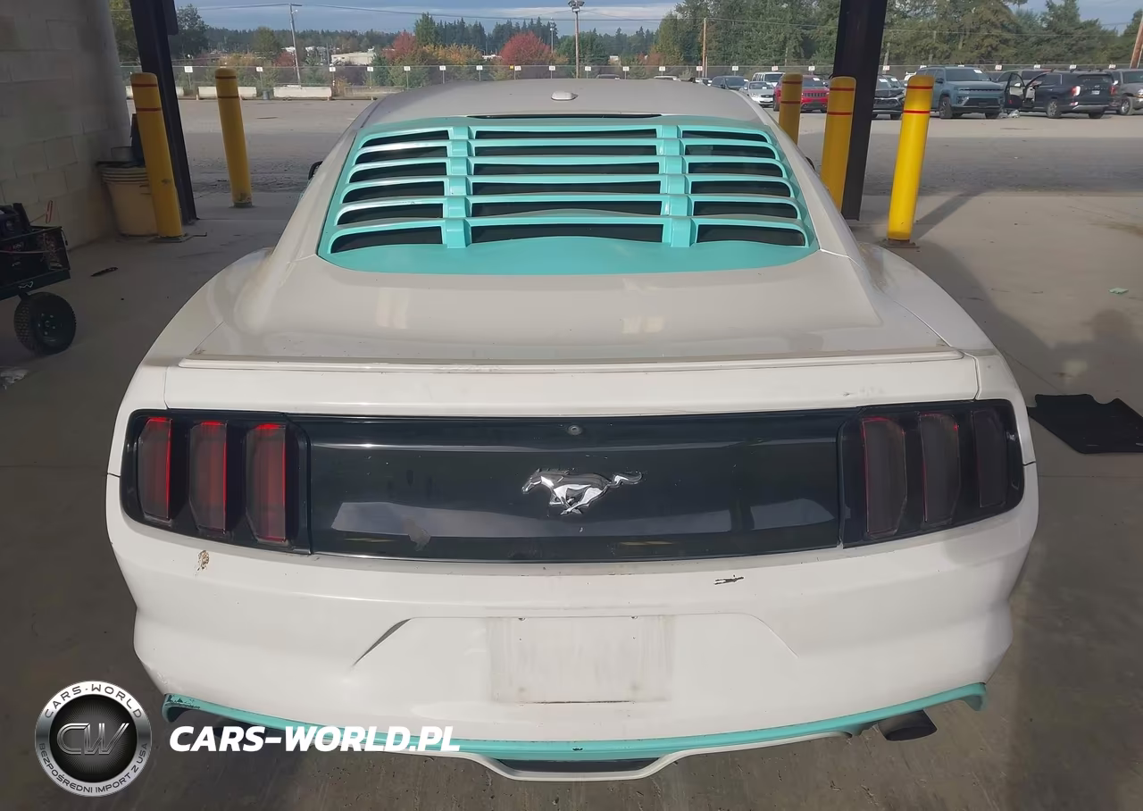 2017 Ford Mustang Ecoboost VIN:1FA6P8TH4H5278121 - 17
