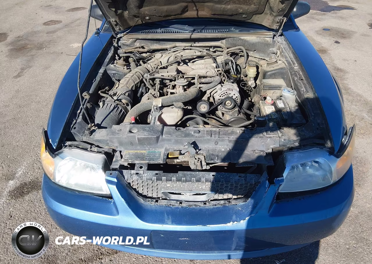 2000 Ford Mustang VIN:1FAFP4449YF266531 - 10