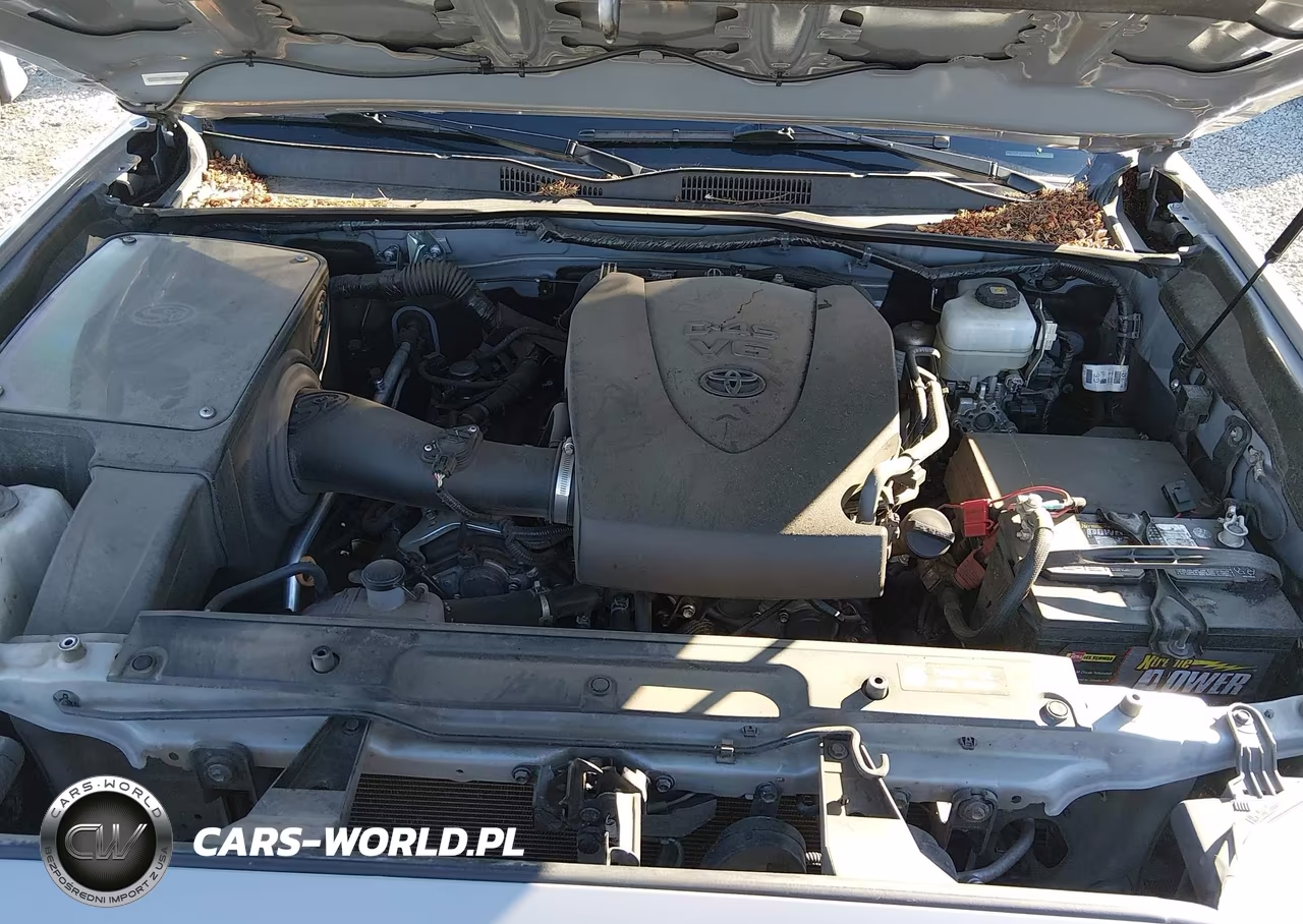 2019 Toyota Tacoma Trd Off Road VIN:3TMDZ5BN3KM066751 - 10
