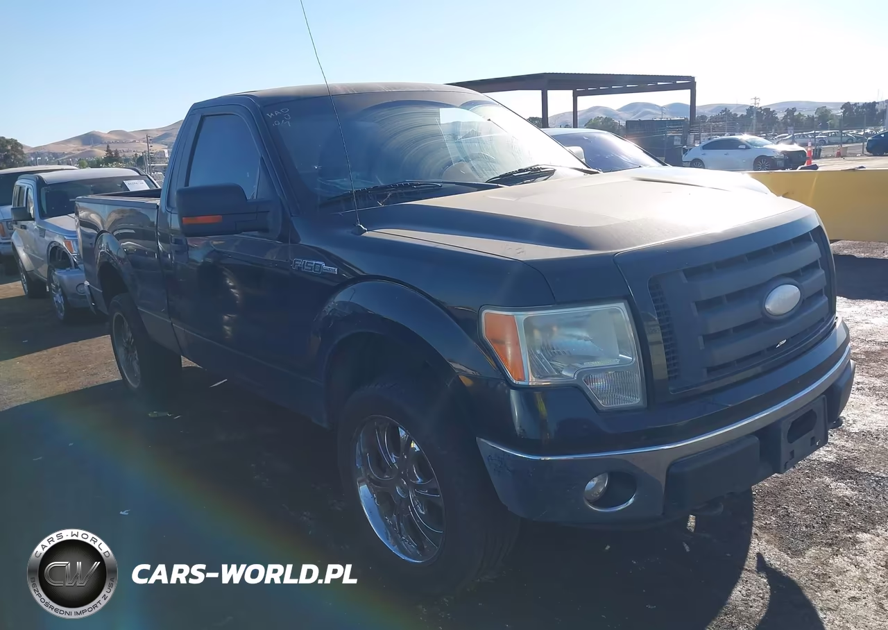 2009 Ford F-150 Stx