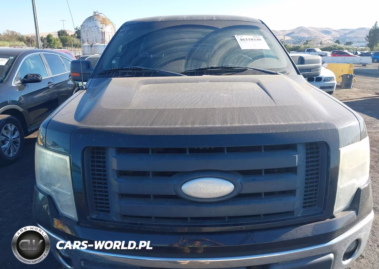 2009 Ford F-150 Stx VIN:1FTRF14W29KA68599 - 6