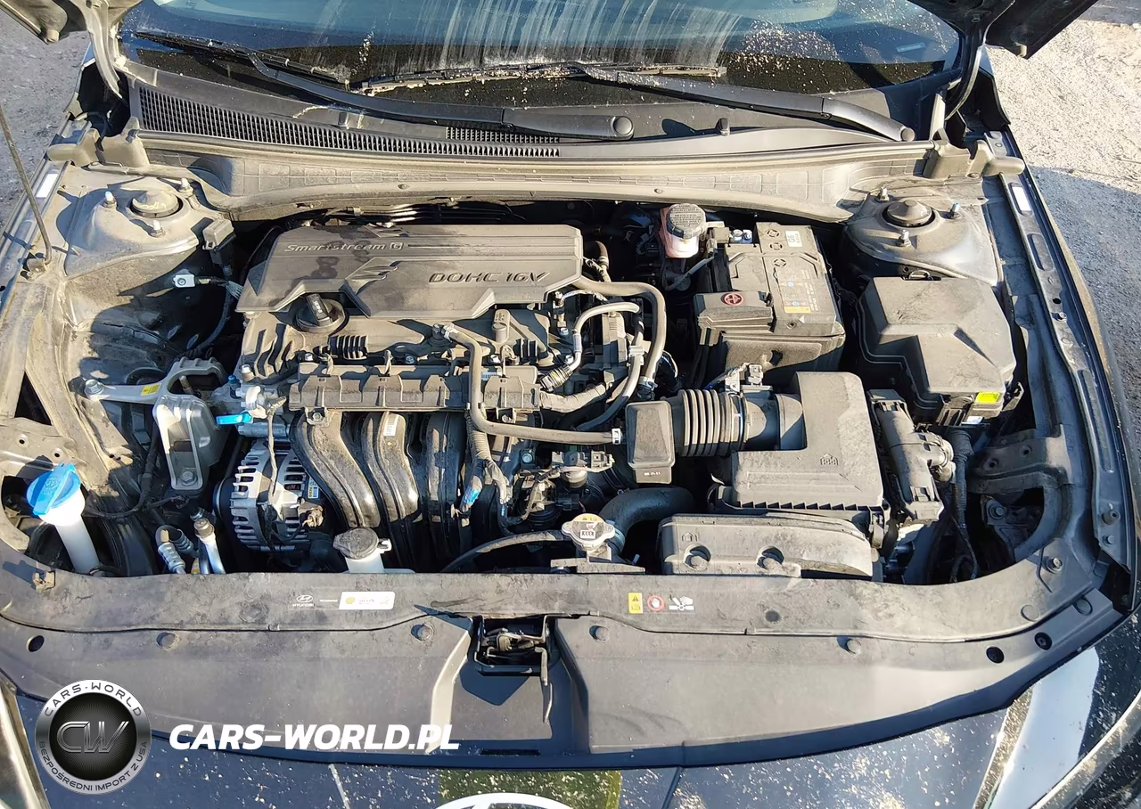 2025 Hyundai Elantra Limited VIN:KMHLP4DG3SU981858 - 10