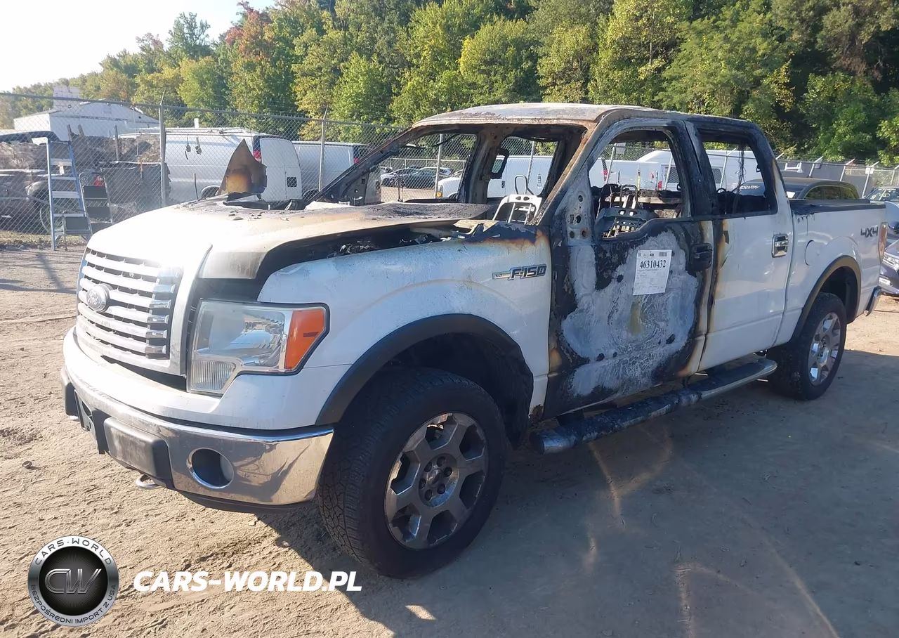 2010 Ford F-150 Fx4-Harley-Davidson-King Ranch-Lariat-Platinum-Xl-Xlt VIN:1FTFW1EV7AFC87418 - 2