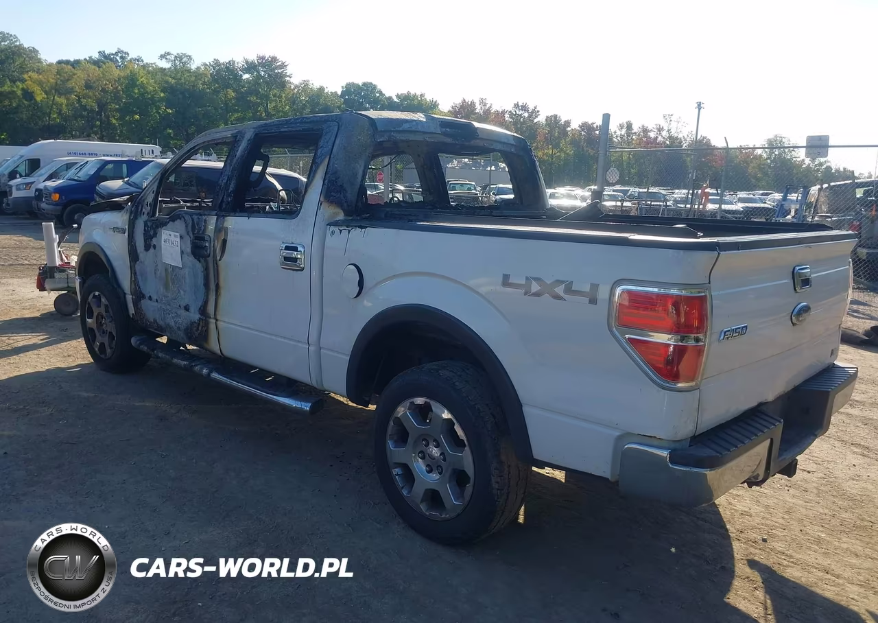2010 Ford F-150 Fx4-Harley-Davidson-King Ranch-Lariat-Platinum-Xl-Xlt VIN:1FTFW1EV7AFC87418 - 3