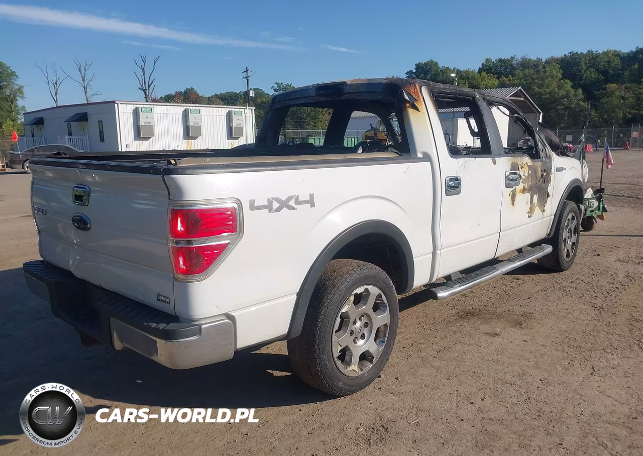 2010 Ford F-150 Fx4-Harley-Davidson-King Ranch-Lariat-Platinum-Xl-Xlt VIN:1FTFW1EV7AFC87418 - 4