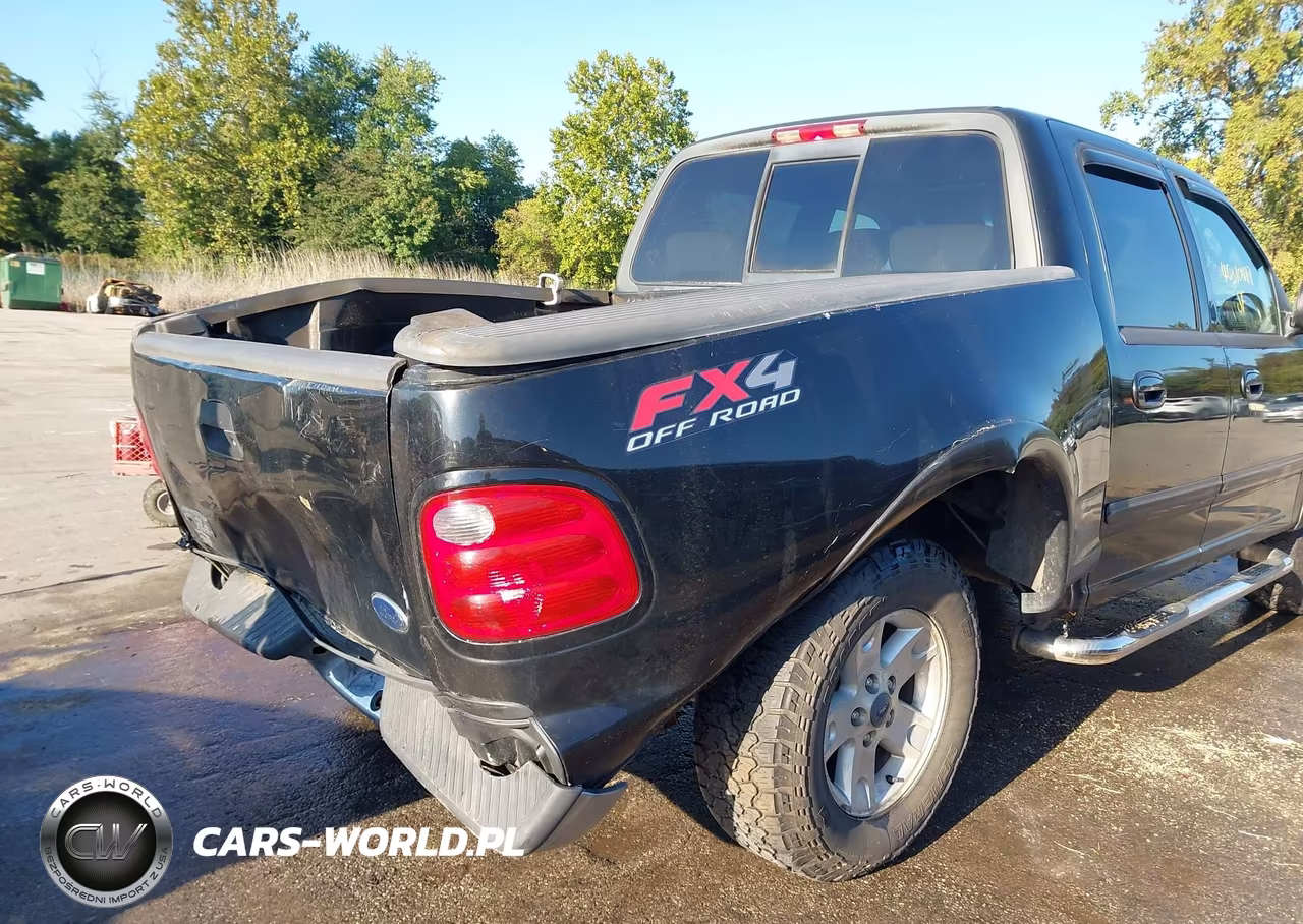 2003 Ford F-150 Lariat-Xlt VIN:1FTRW08L13KD83217 - 17