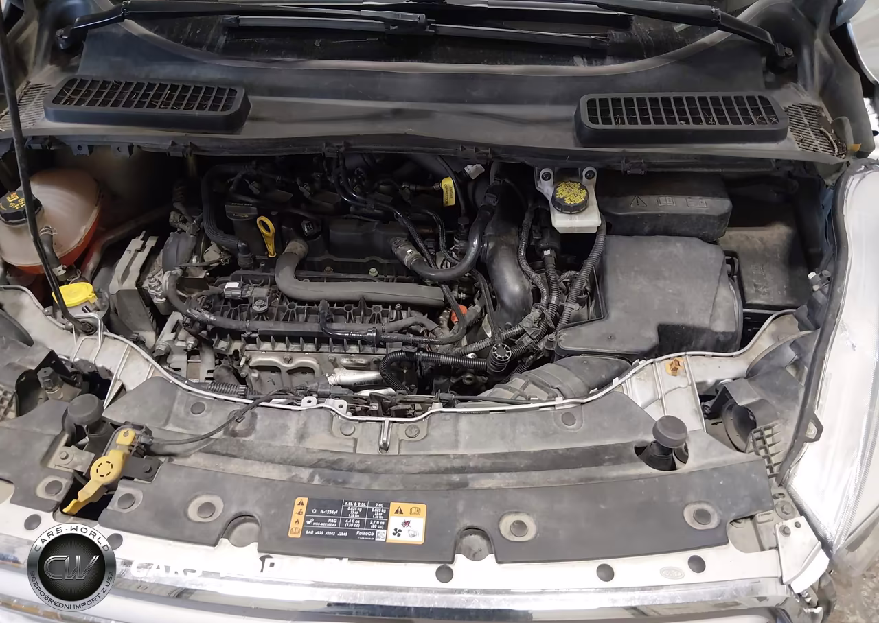 2019 Ford Escape Se VIN:1FMCU9GD0KUB10505 - 10