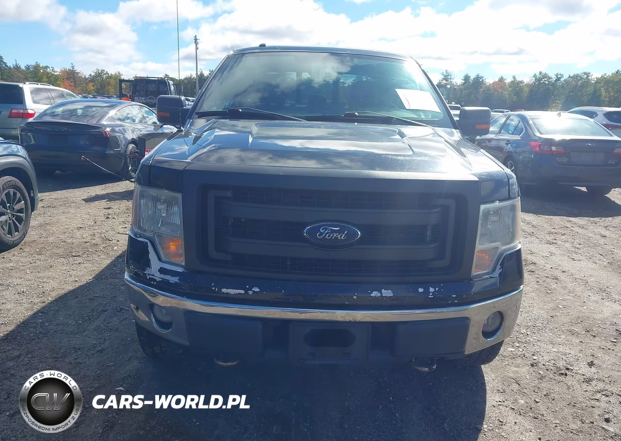 2013 Ford F-150 Xlt VIN:1FTFX1EF9DFC60733 - 12