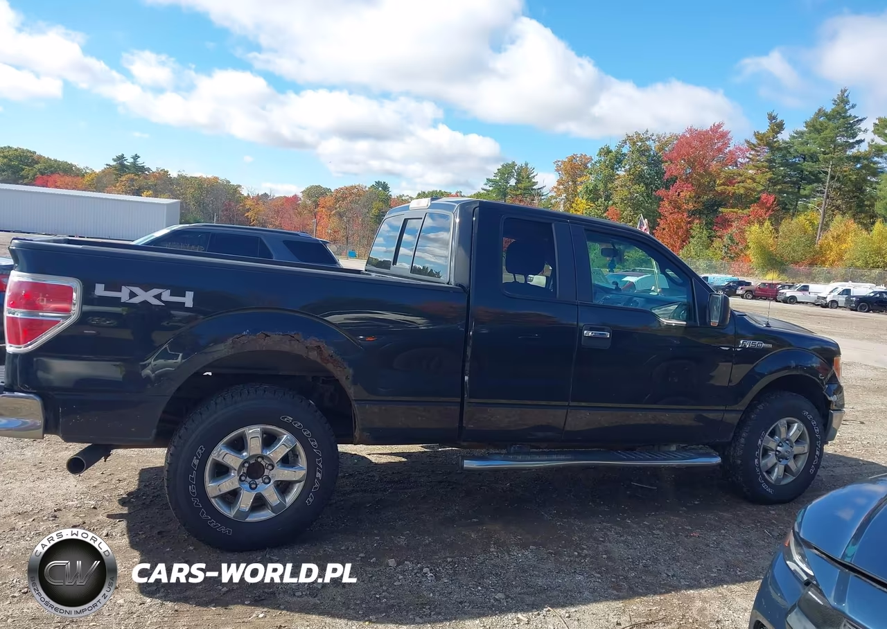 2013 Ford F-150 Xlt VIN:1FTFX1EF9DFC60733 - 13