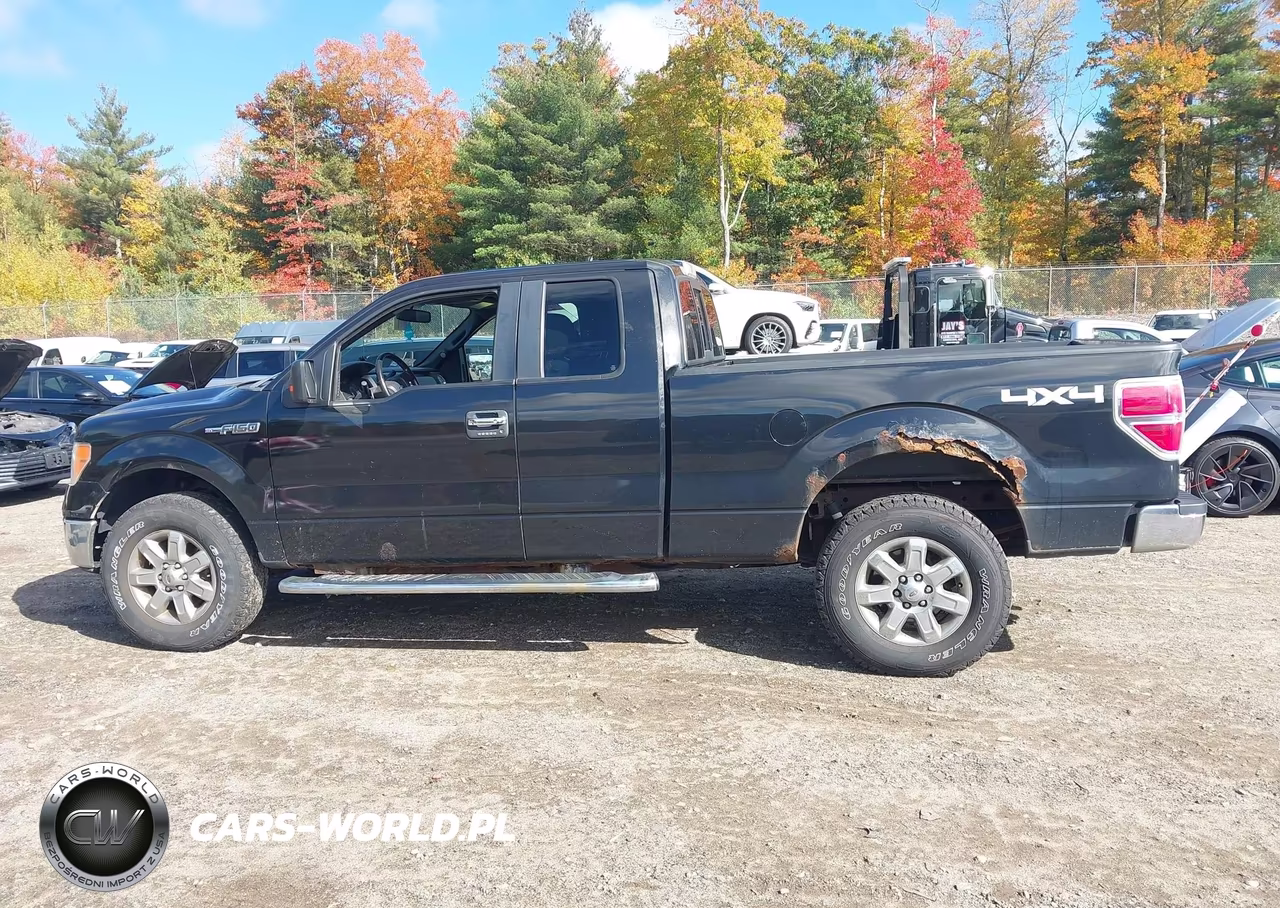 2013 Ford F-150 Xlt VIN:1FTFX1EF9DFC60733 - 14