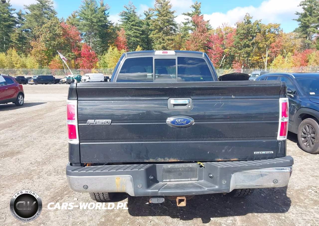 2013 Ford F-150 Xlt VIN:1FTFX1EF9DFC60733 - 16