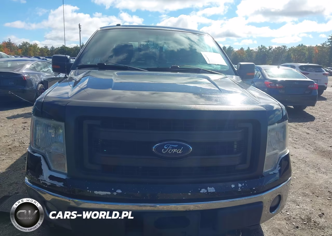 2013 Ford F-150 Xlt VIN:1FTFX1EF9DFC60733 - 19