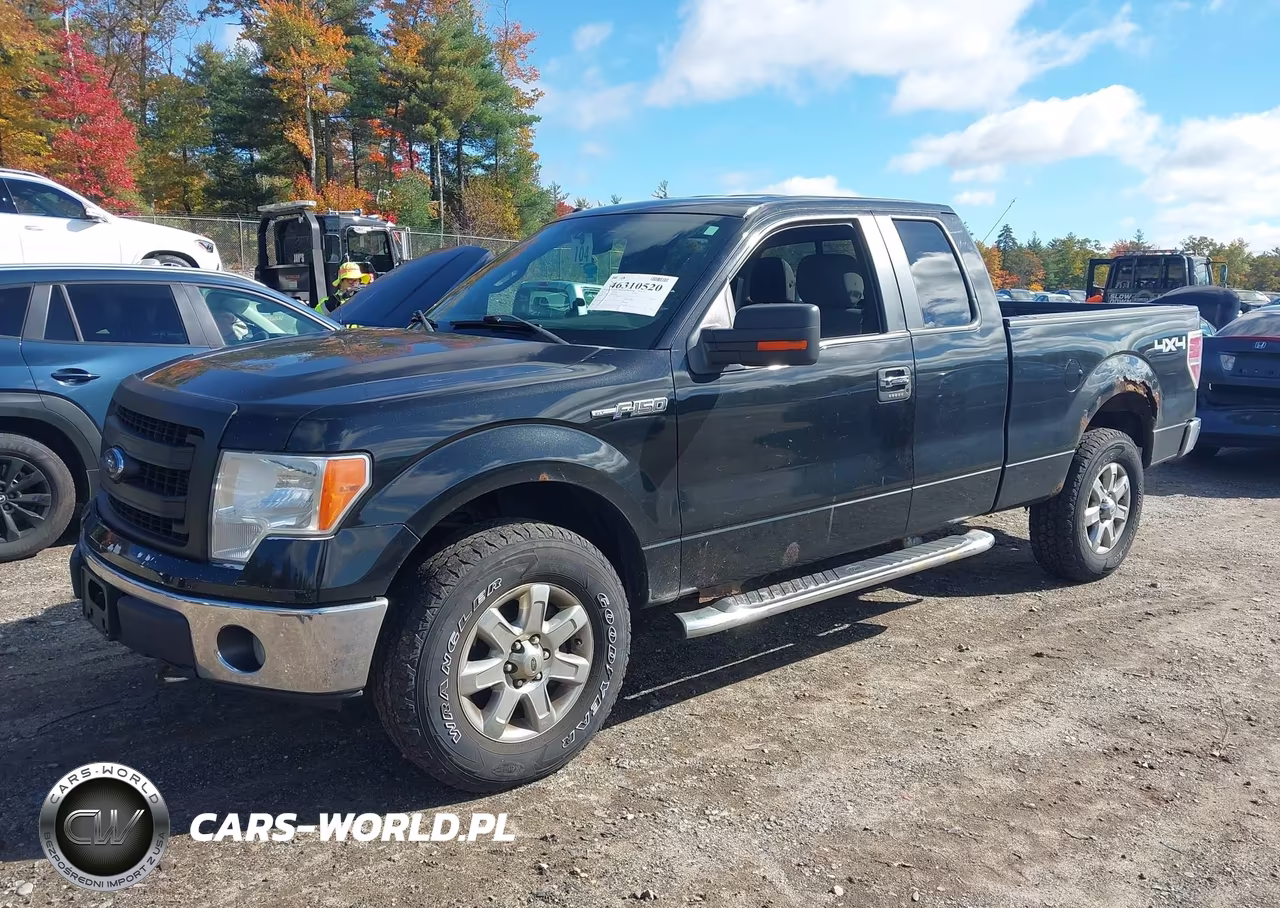 2013 Ford F-150 Xlt VIN:1FTFX1EF9DFC60733 - 2